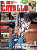 Il mio Cavallo